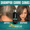 Shampoo Cubre Canas Pro